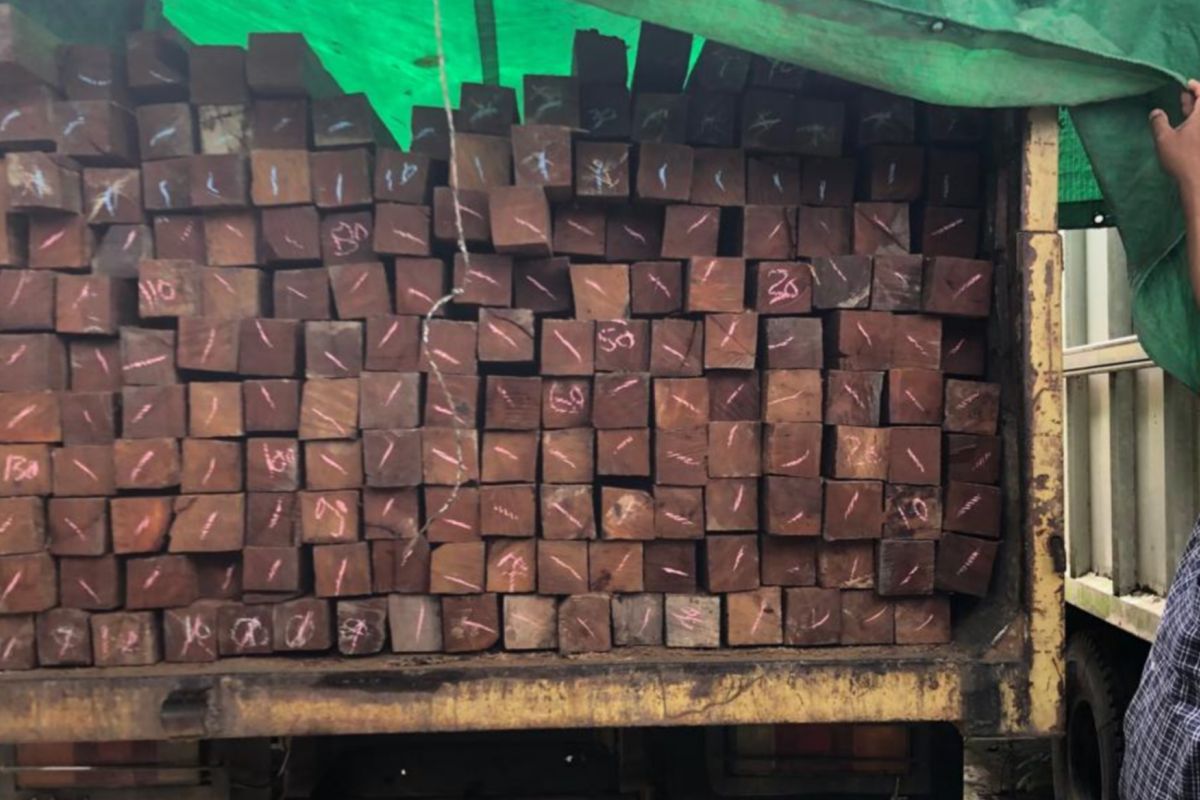 Pengangkut ratusan kayu ulin ilegal ditangkap di Kukar