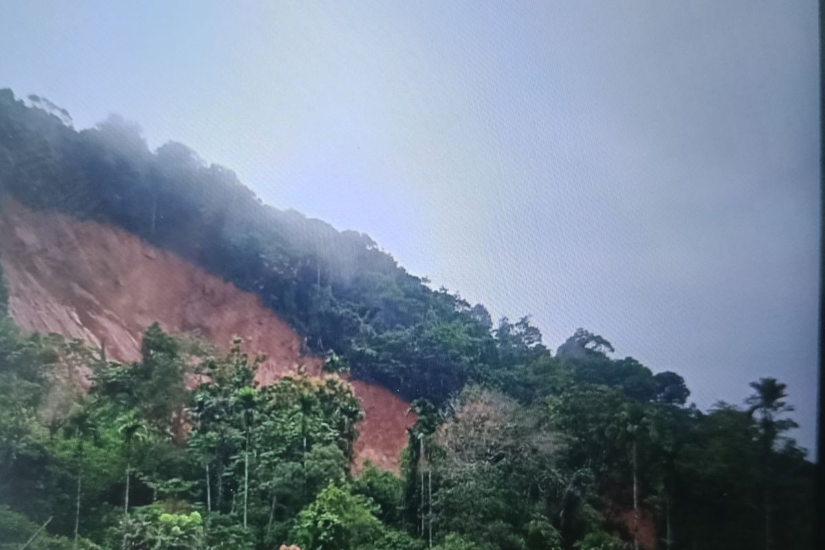 Enam orang tertimbun longsor, satu orang selamat di Tinggam Talu