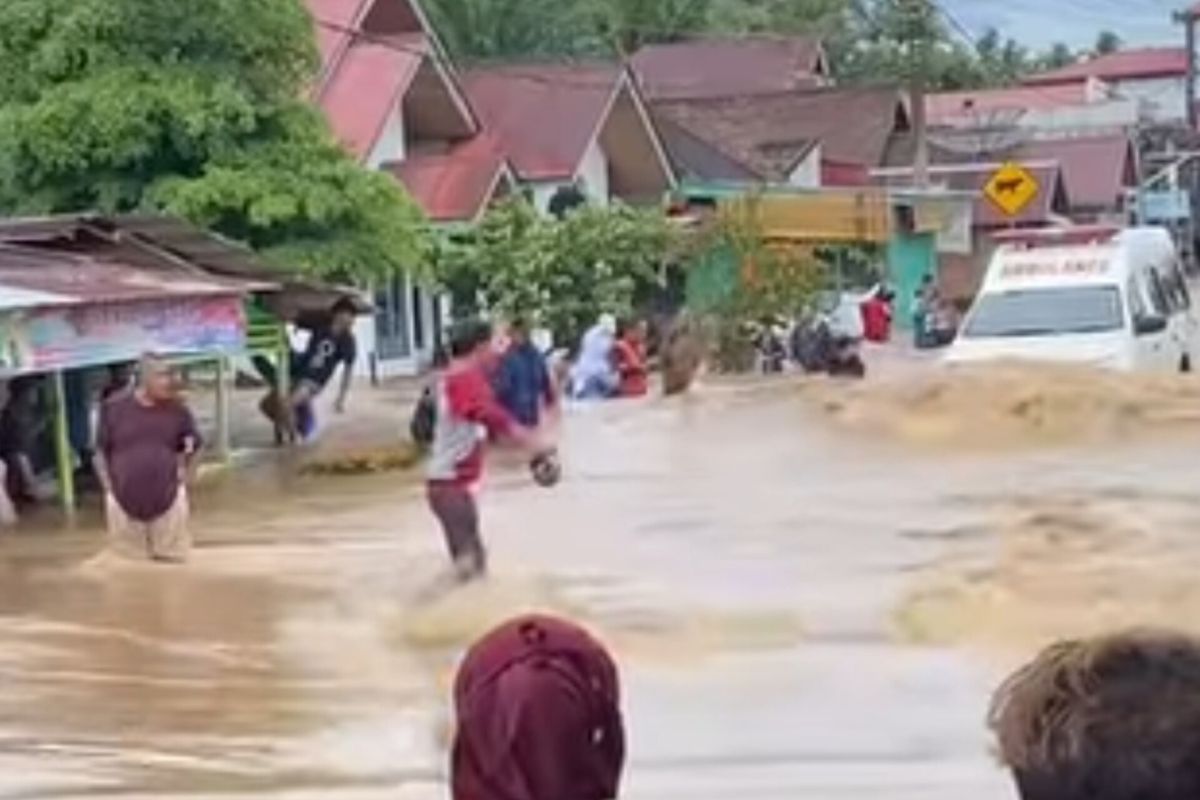 Bencana banjir Pesisir Selatan: 4.256 rumah terendam, 21.280 jiwa terdampak, 1 warga meninggal dunia