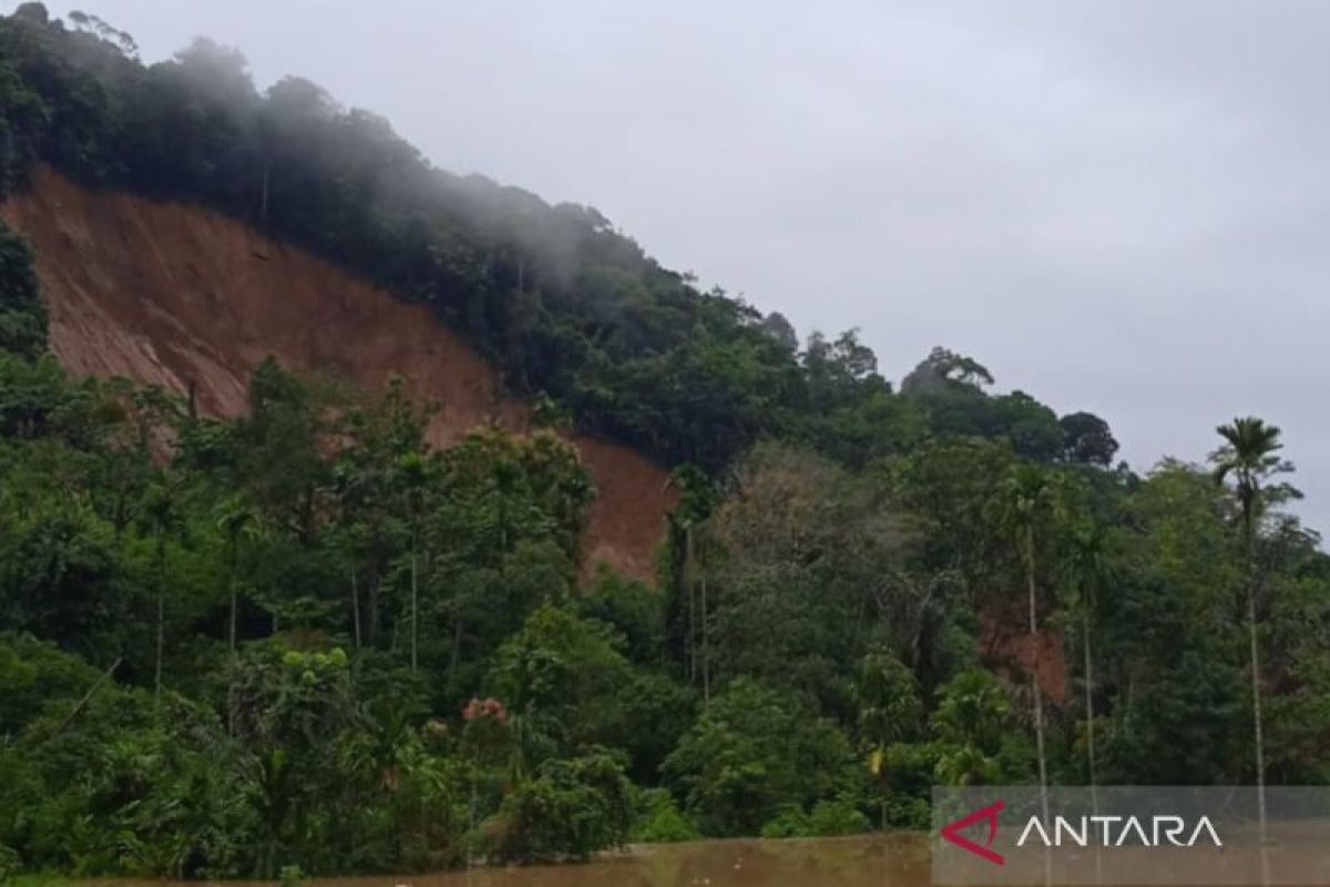 BPBD: Enam orang tertimbun longsor, satu orang selamat di Tinggam Talamau
