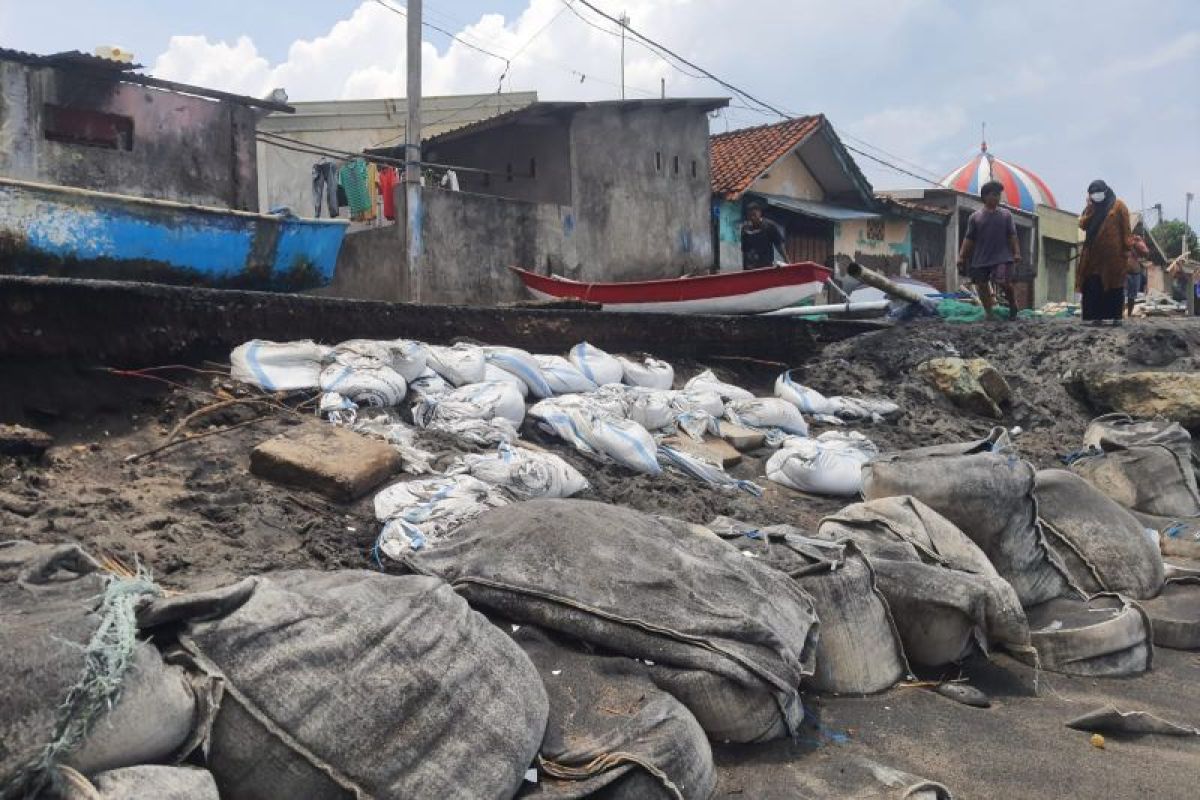 Kawasan sempadan bebas abrasi di Mataram mulai ditata