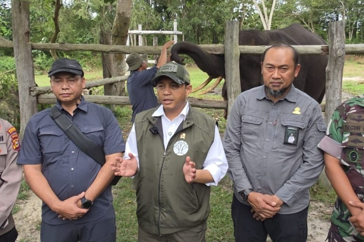 Menhut kejar restorasi 31 ribu ha kawasan konservasi Taman Nasional Tesso Nilo