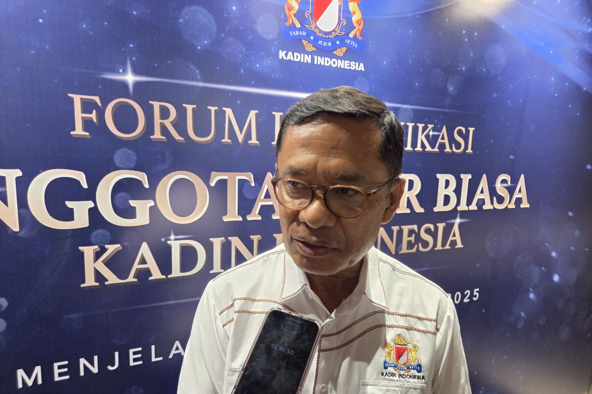 Kadin minta pemerintah perkuat pengawasan untuk halau thrifting ilegal