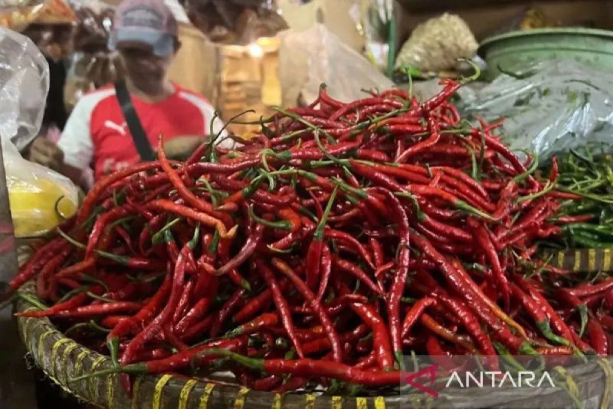 Harga cabai di Pekanbaru meroket imbas banjir bandang di Sumbar dan Sumut