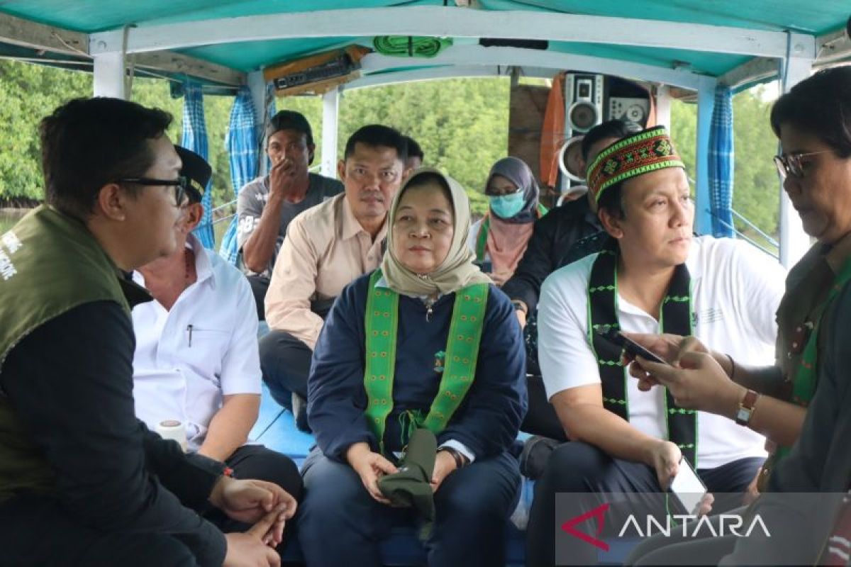 Wamen LH dorong kerja sama tangani sampah di hutan mangrove Mabar
