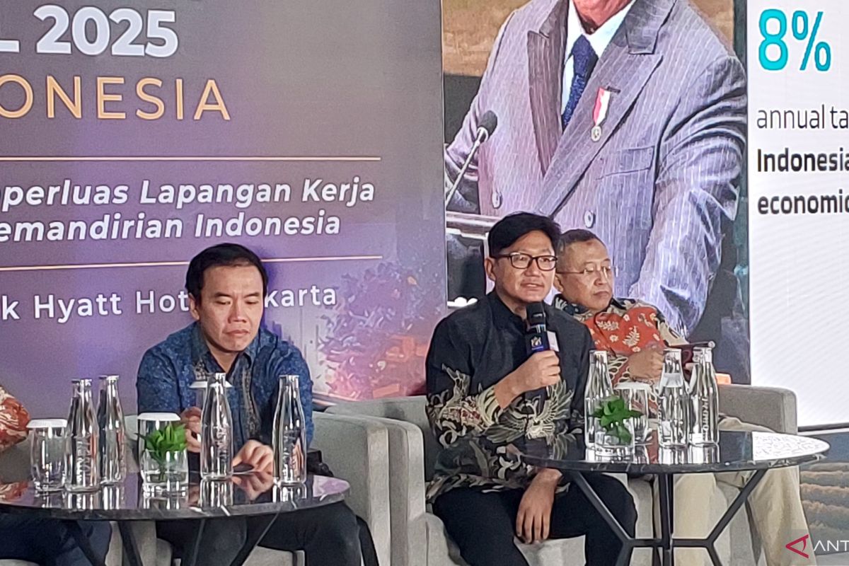 Konektivitas jadi inti suksesnya pemanfaatan AI untuk perekonomian
