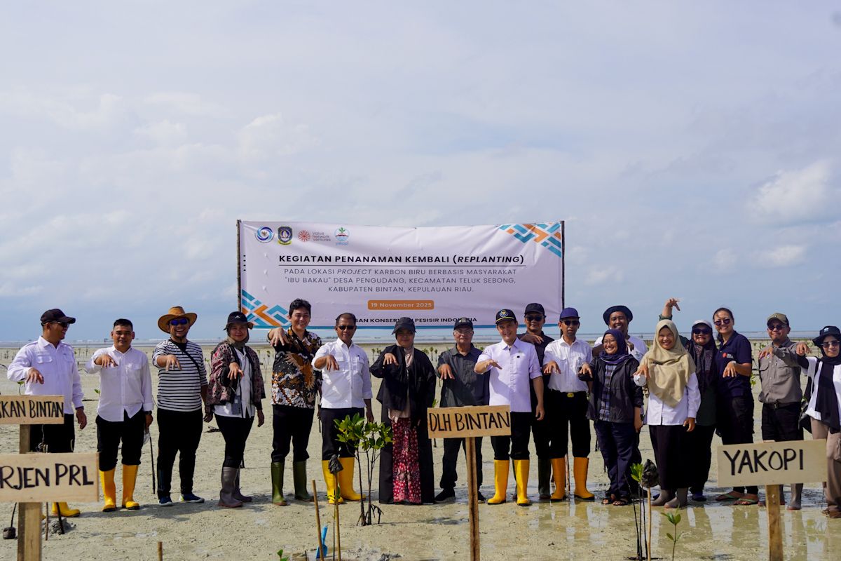 KKP tingkatkan efektifitas tata ruang laut untuk karbon biru