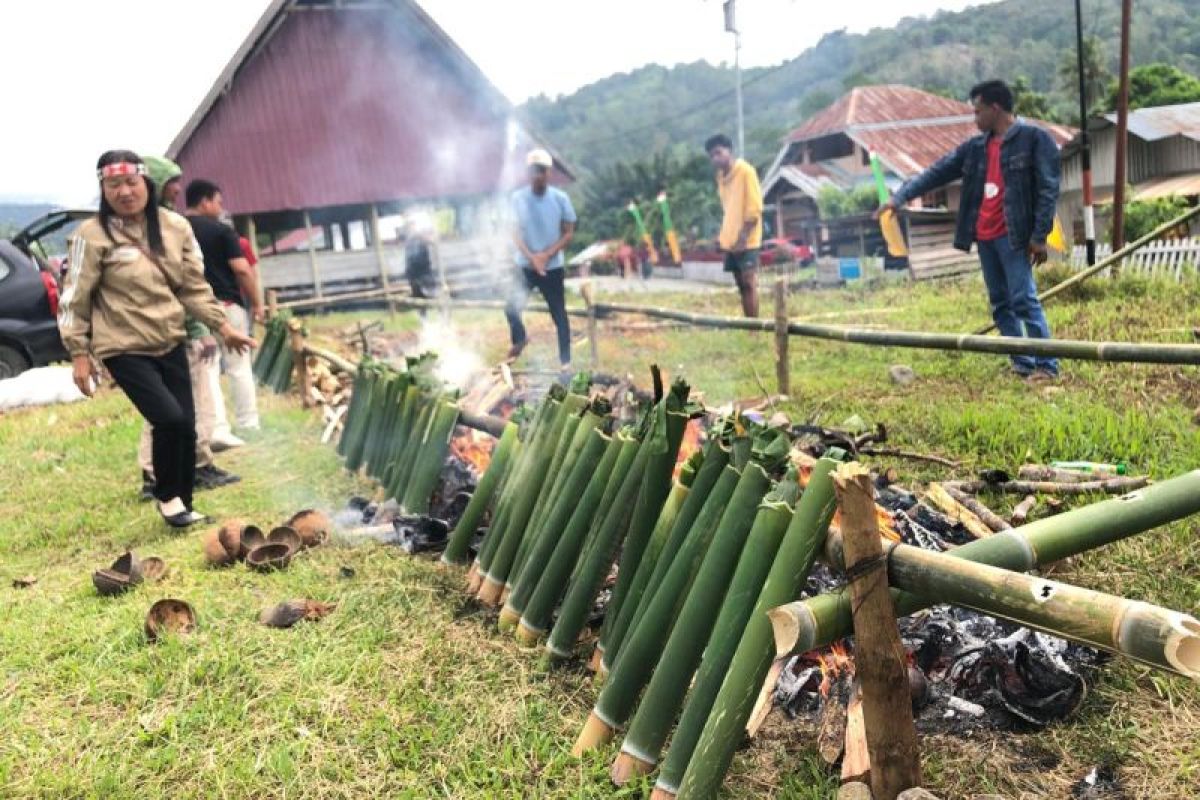 Bupati Sigi ajak warga lestarikan budaya melalui Festival Ayam Bambu