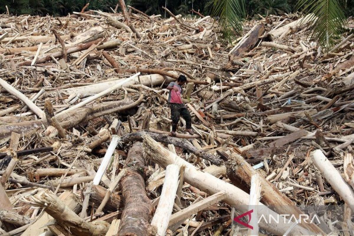 Indonesia to investigate logging role in deadly Sumatra floods