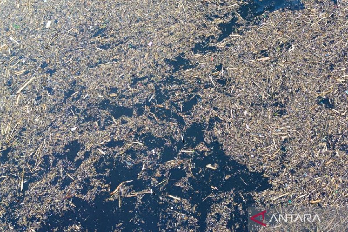 KLH akan lakukan penyelidikan sumber kayu dan faktor banjir Sumatera