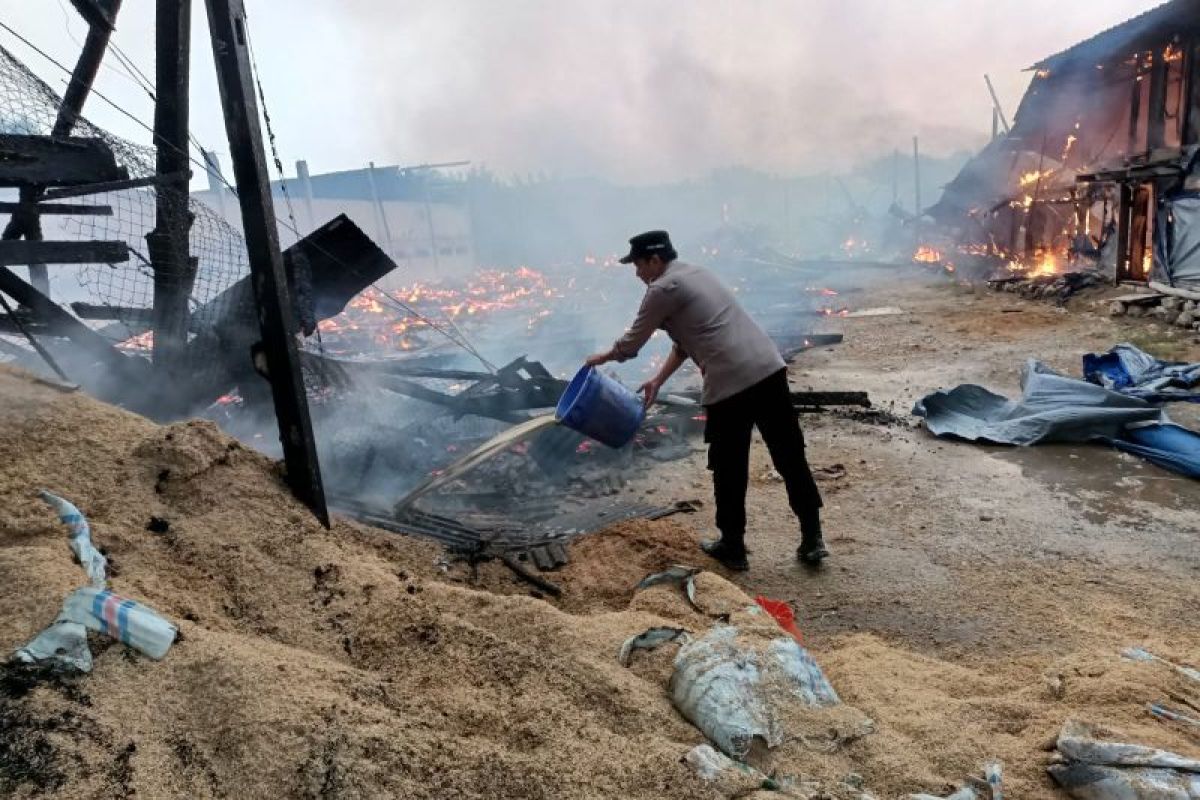Polisi sebut kebakaran kandang ayam di Sedayulawas dipicu korsleting