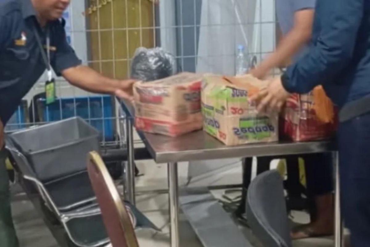 BKSDA Maluku amankan satwa kakaktua galerita di Pelabuhan Ambon