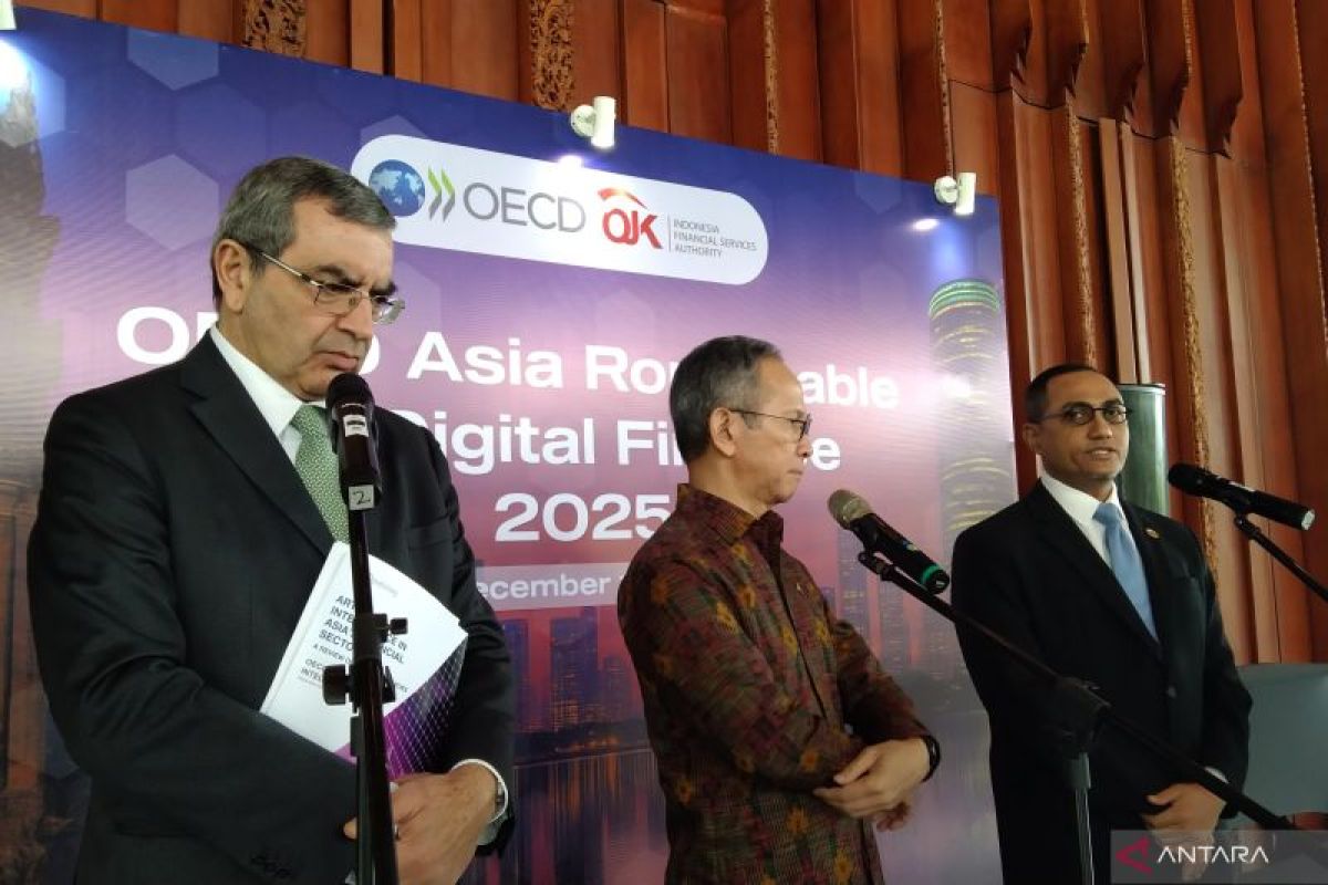 OJK membarui pedoman AI mitigasi risiko teknologi keuangan