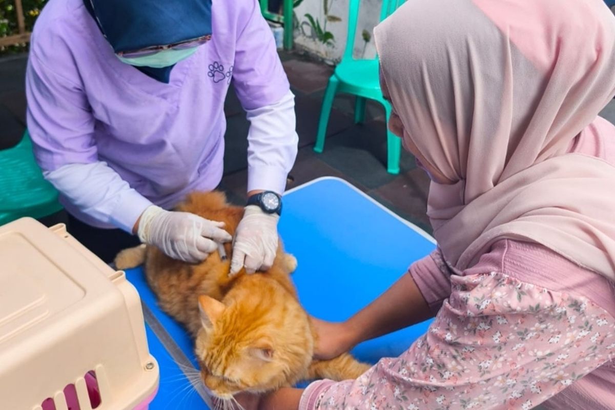 Ratusan hewan penular rabies di Jakbar divaksinasi selama November