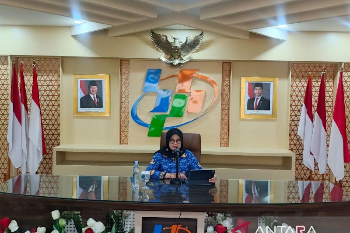 BPS catat nikel hingga besi-baja jadi penyumbang utama surplus