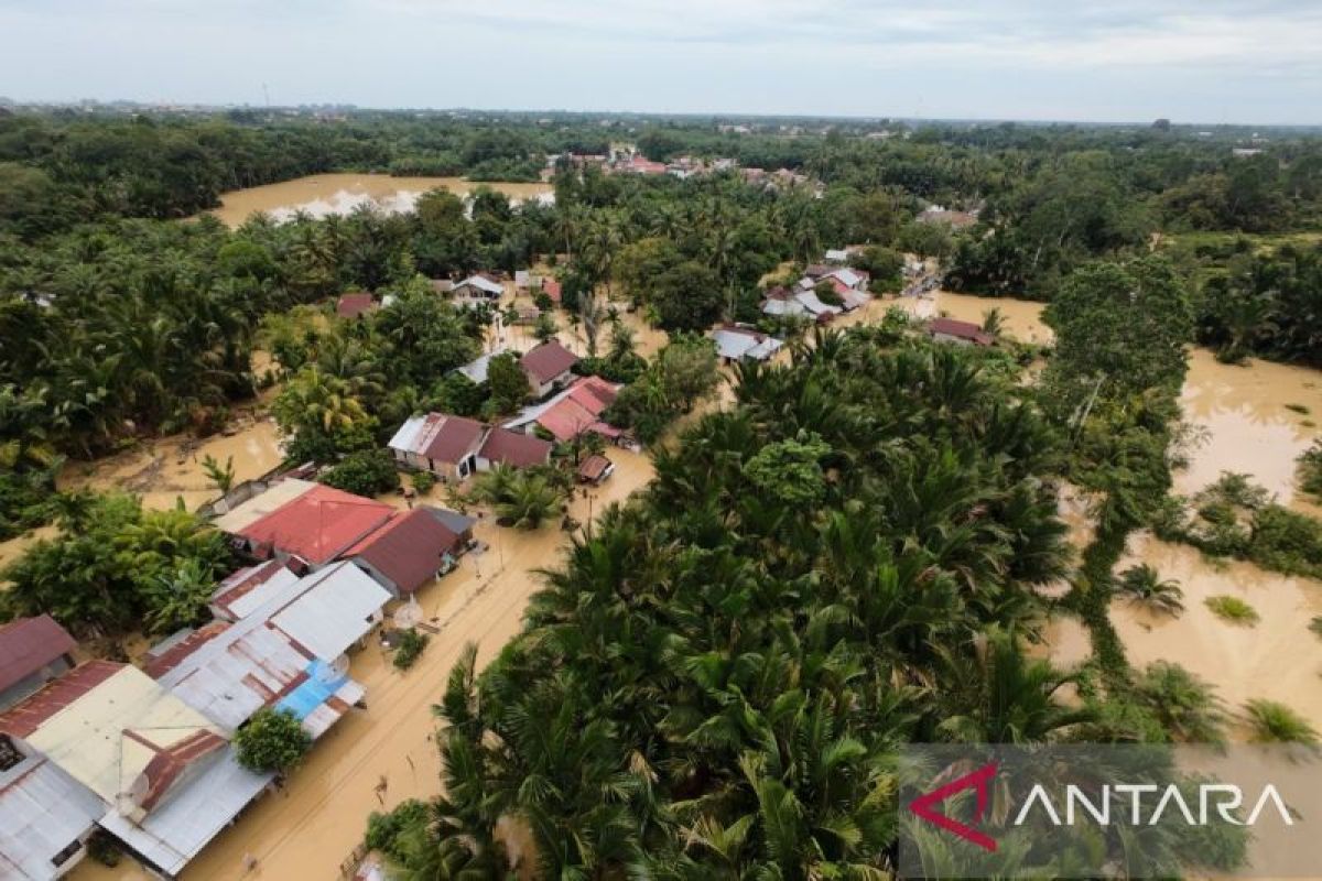 BPBD: 30.884 jiwa warga Aceh Barat terdampak banjir bandang dan luapan