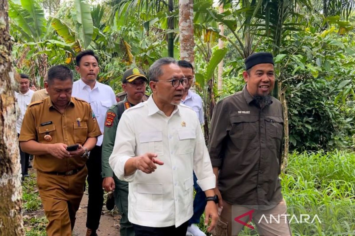 Zulhas minta petani Lampung Selatan lindungi hutan untuk cegah bencana