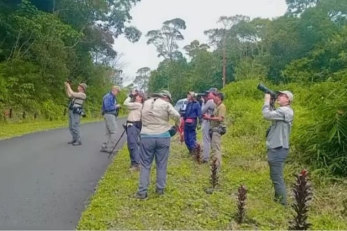 Pokdarwis Wae Lolos susun paket wisata tingkatkan kunjungan wisatawan