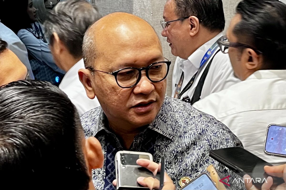 PP 28/2025 permudah izin pembangunan pabrik semikonduktor Batam
