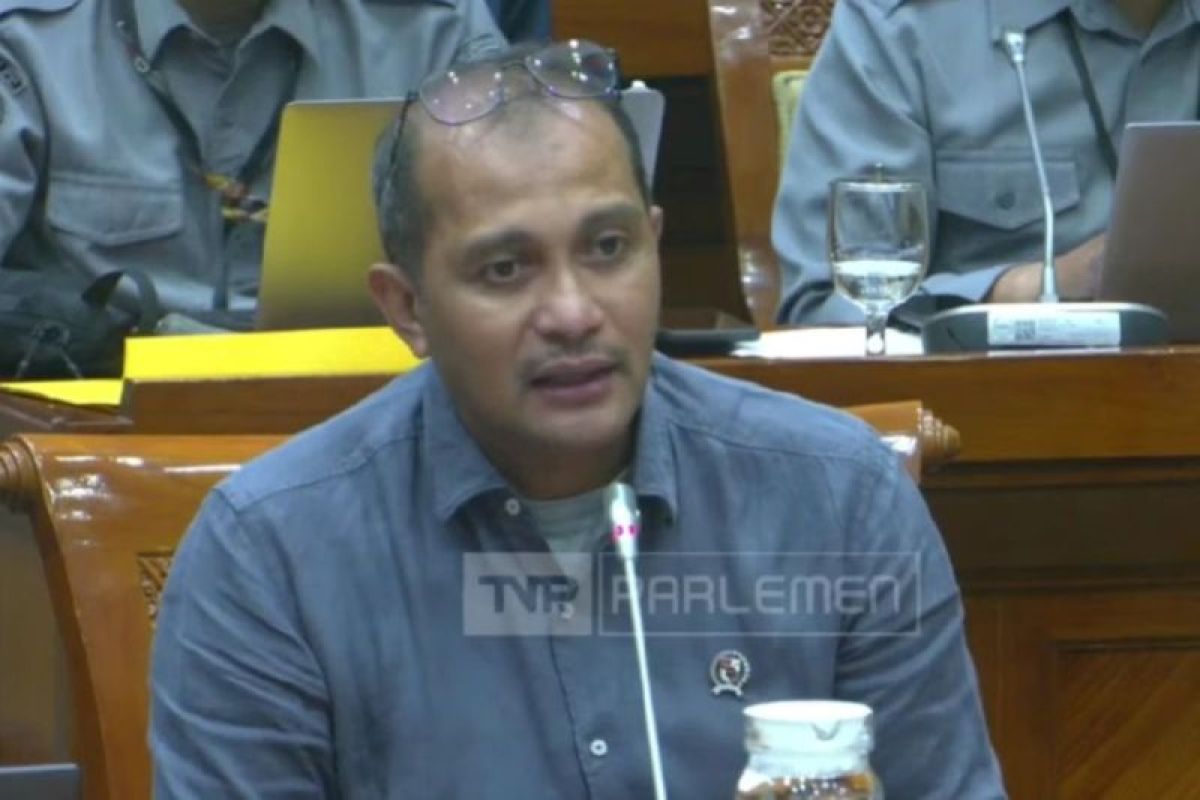 Wamenkum: RUU Penyesuaian Pidana soal narkotika sebagai pintu darurat