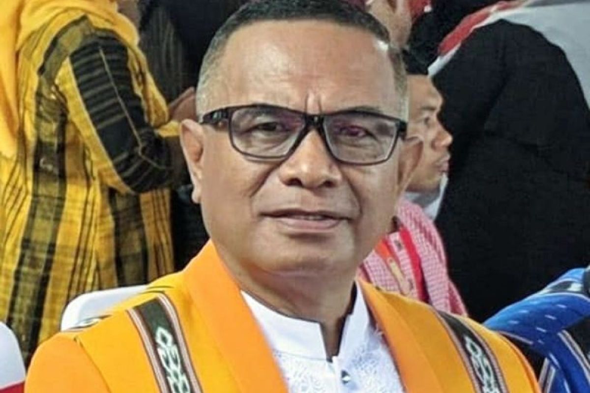 DPRD Maluku minta PLN tambah  jam operasional listrik di pulau terluar