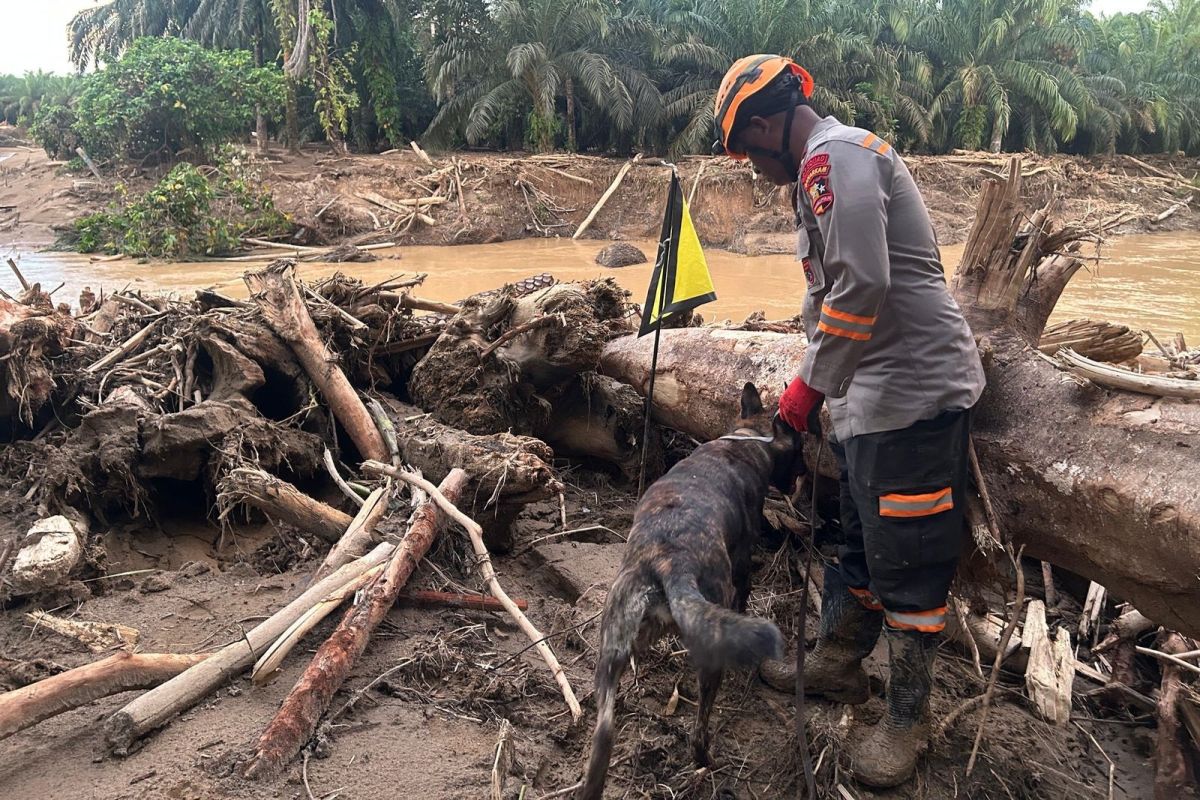 Cari korban banjir Sumut, Polri turunkan Satuan K-9 Ditpolsatwa