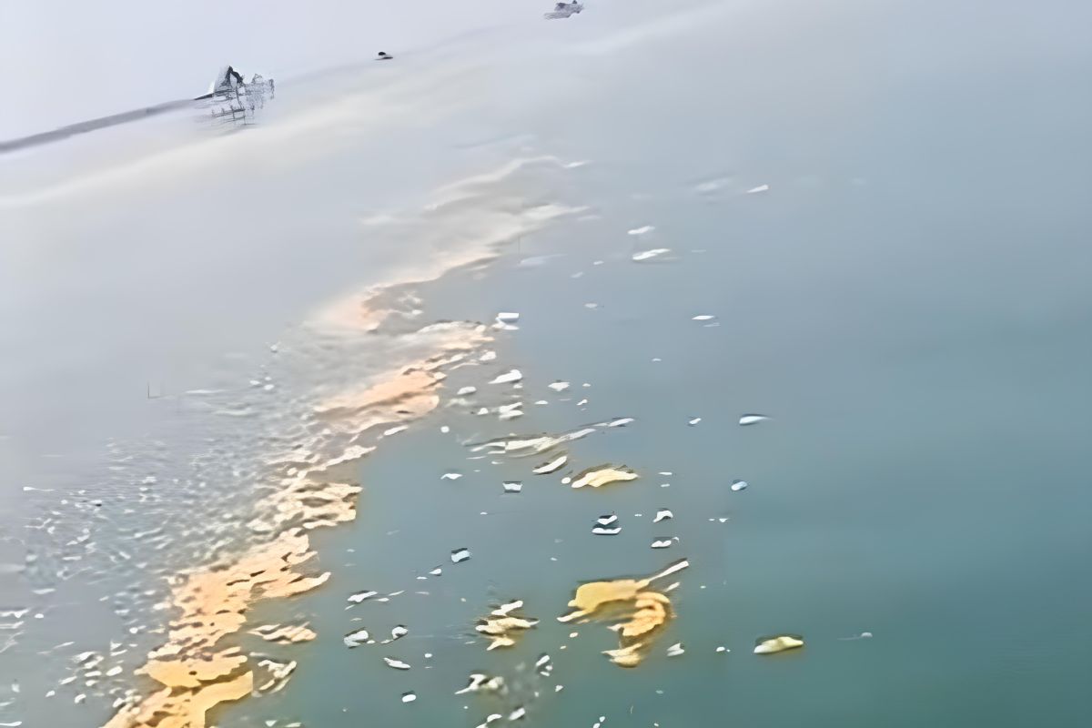 Pantai utara Tangerang diduga tercemar limbah minyak