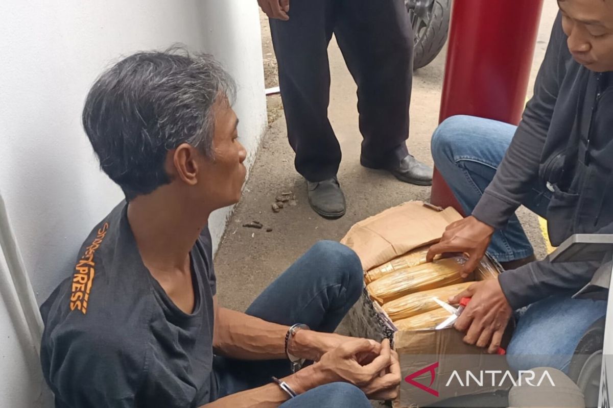 Pengedar ganja 4,6 kg di Cengkareng ditangkap polisi