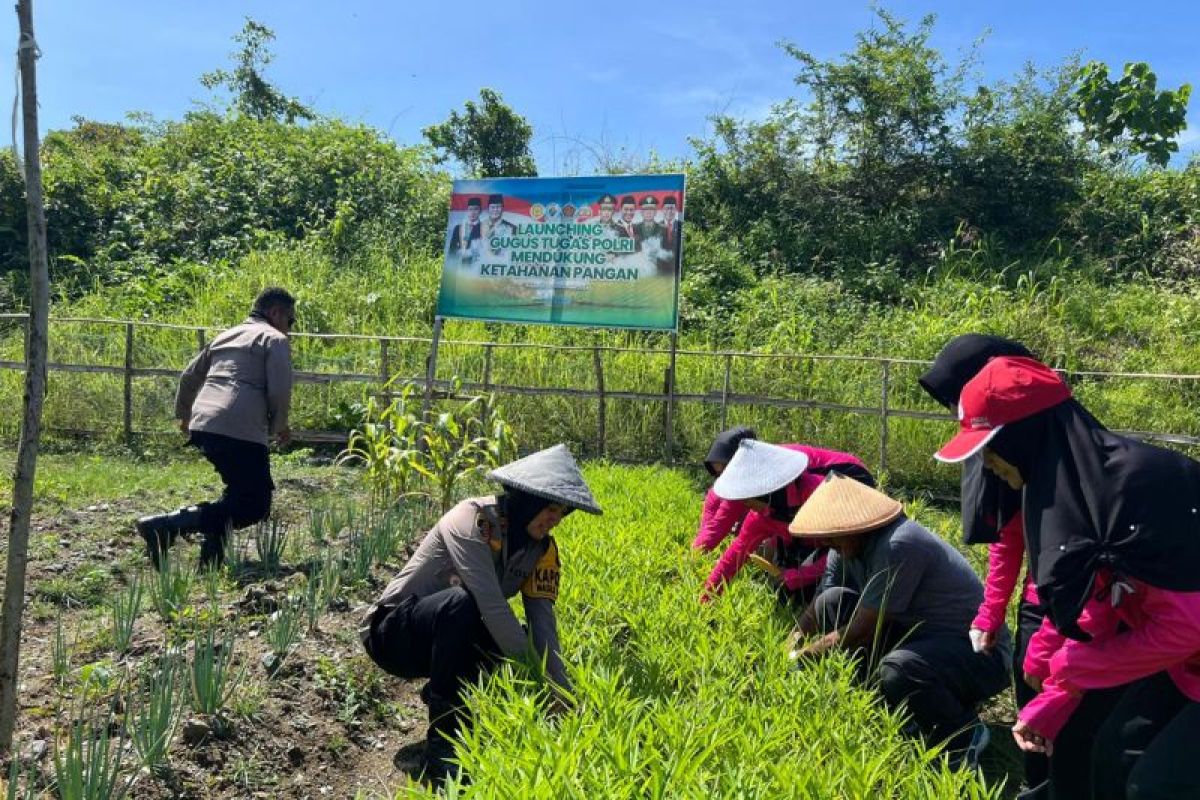 Pemprov Malut akan kelola sumber daya genetik pertanian