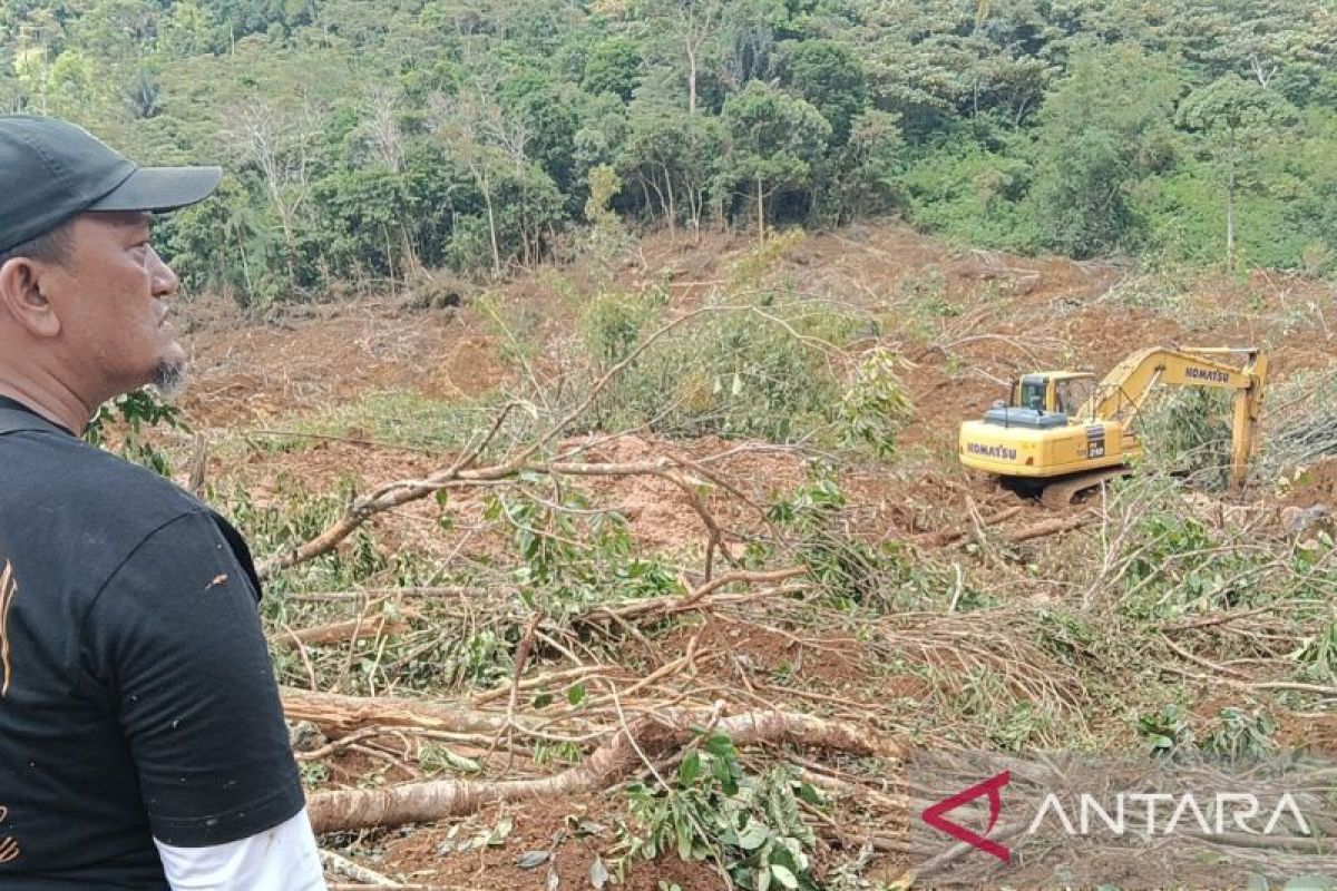 Satu unit ekskavator mulai cari korban longsor di Tinggam Talamau (Video)