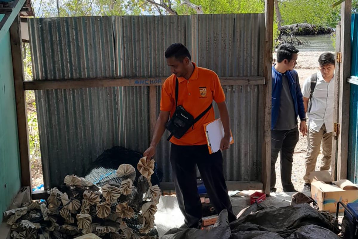 Polda NTT memastikan kawasan TN Komodo bebas dari penambangan ilegal