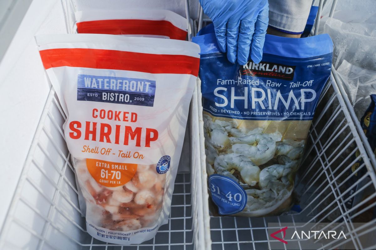 Ministry informs 1,852 containers of Indonesian shrimp enter US market