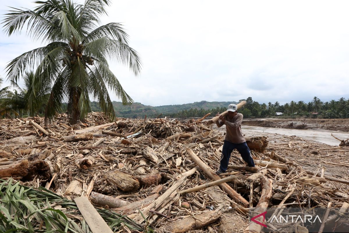 Govt forms task force to trace flood-swept timber origin in Sumatra