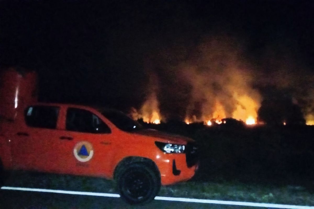 Pemkab Natuna padamkan kebakaran hutan seluas 4 hektare di Pengadah