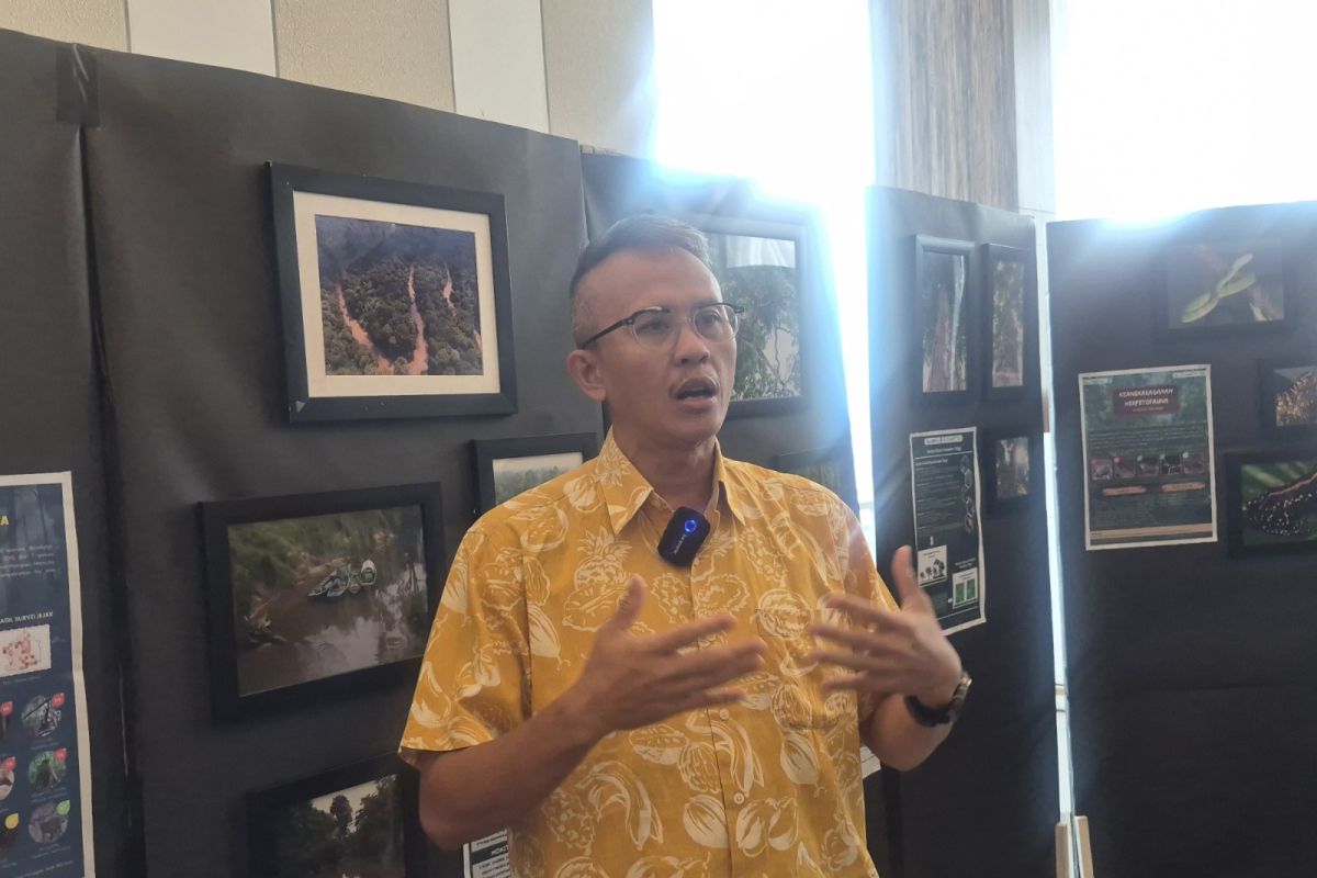 Yayasan Rekam Nusantara: Delapan spesies rangkong terancam punah