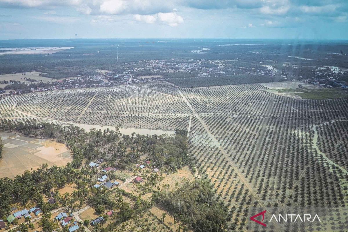 Banjir Sumatera dampak akumulasi masalah tata kelola lingkungan