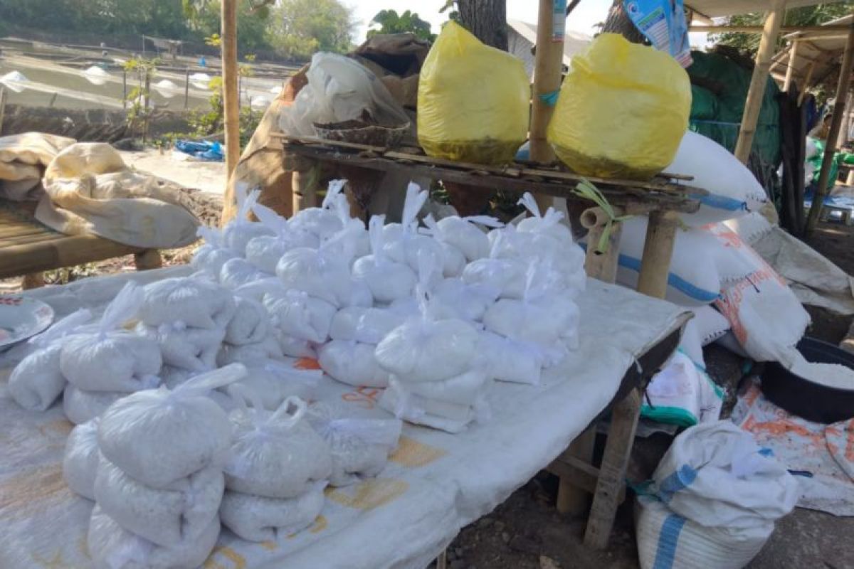 Lombok Timur dukung swasembada garam nasional