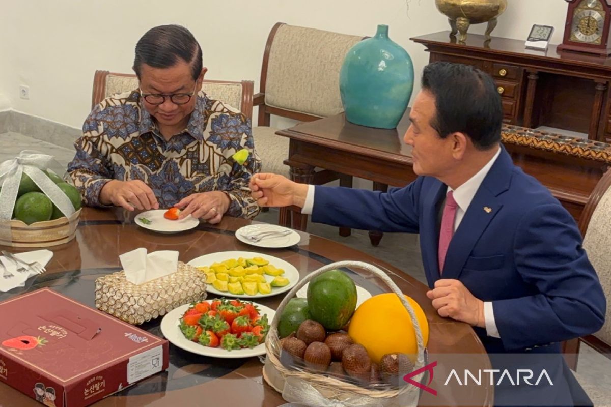 Bertemu Wali Kota Nonsan, Pramono bahas "Nonsan Strawberry Festival"