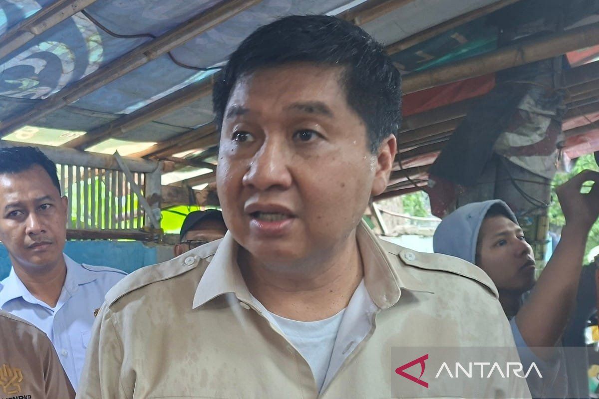 Menteri PKP pastikan seluruh kabupaten/kota dapat alokasi program BSPS