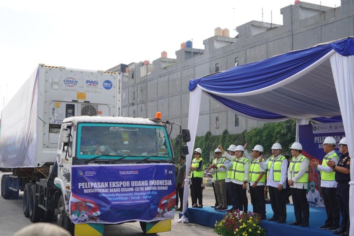 KKP kembali ekspor udang terserfikasi bebas Cesium-137 ke AS