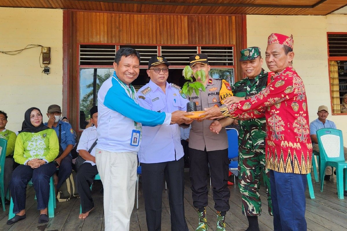 Penghijauan diharapkan mampu kurangi potensi bencana alam di Kotim