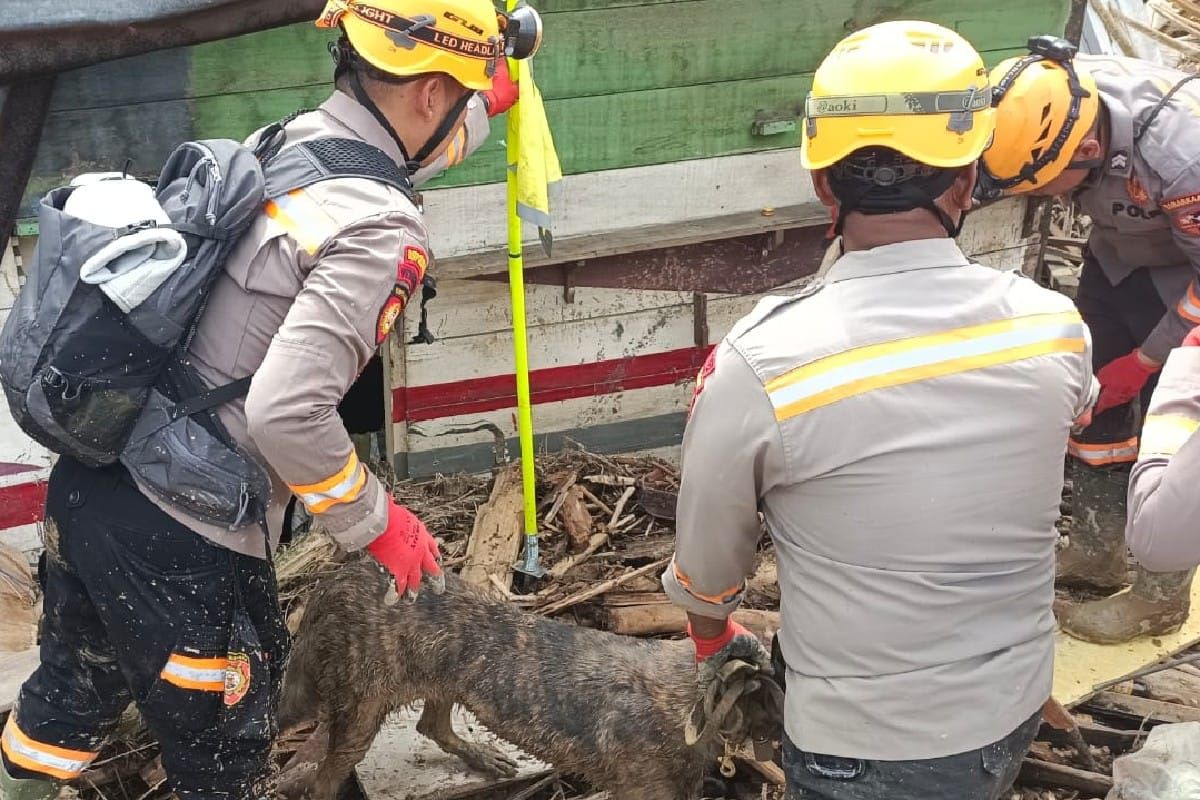 Tim K-9 Polda Sumut intensifkan pencarian korban di Tapanuli Selatan