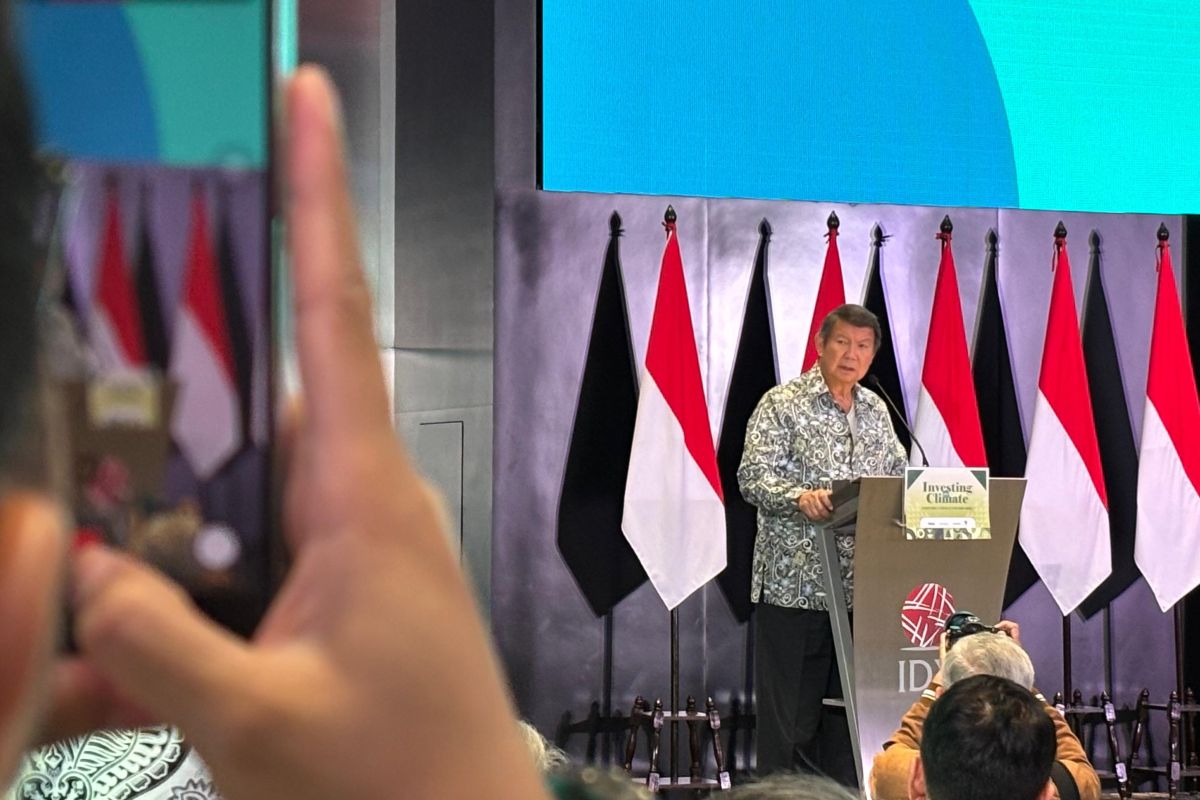 Hashim: Dunia internasional sambut baik perkembangan pasar karbon RI