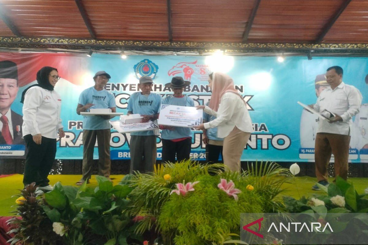 Pengayuh lansia Brebes sambut bahagia program bantuan becak listrik 