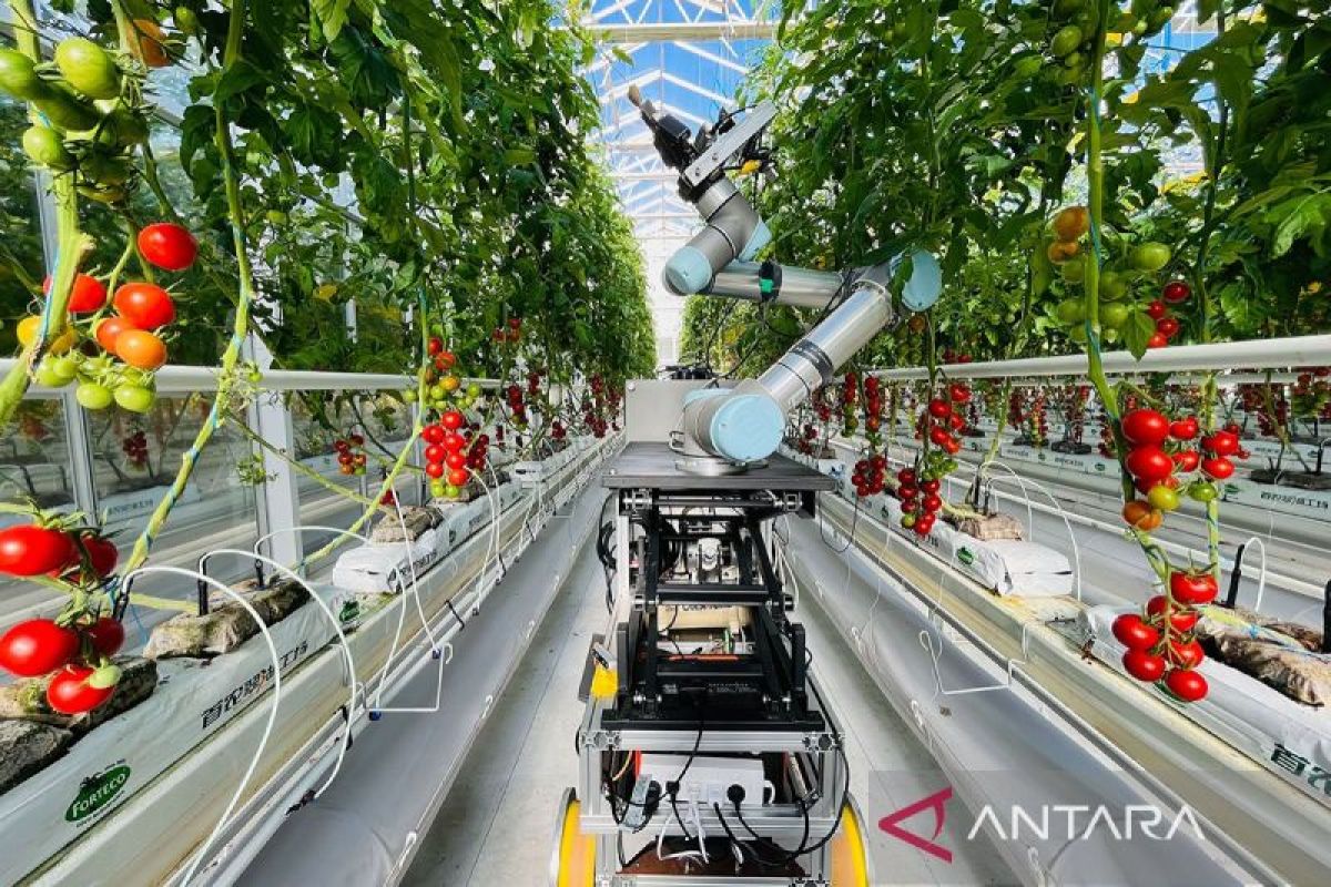 China luncurkan model AI lindungi lahan pertanian berstandar tinggi