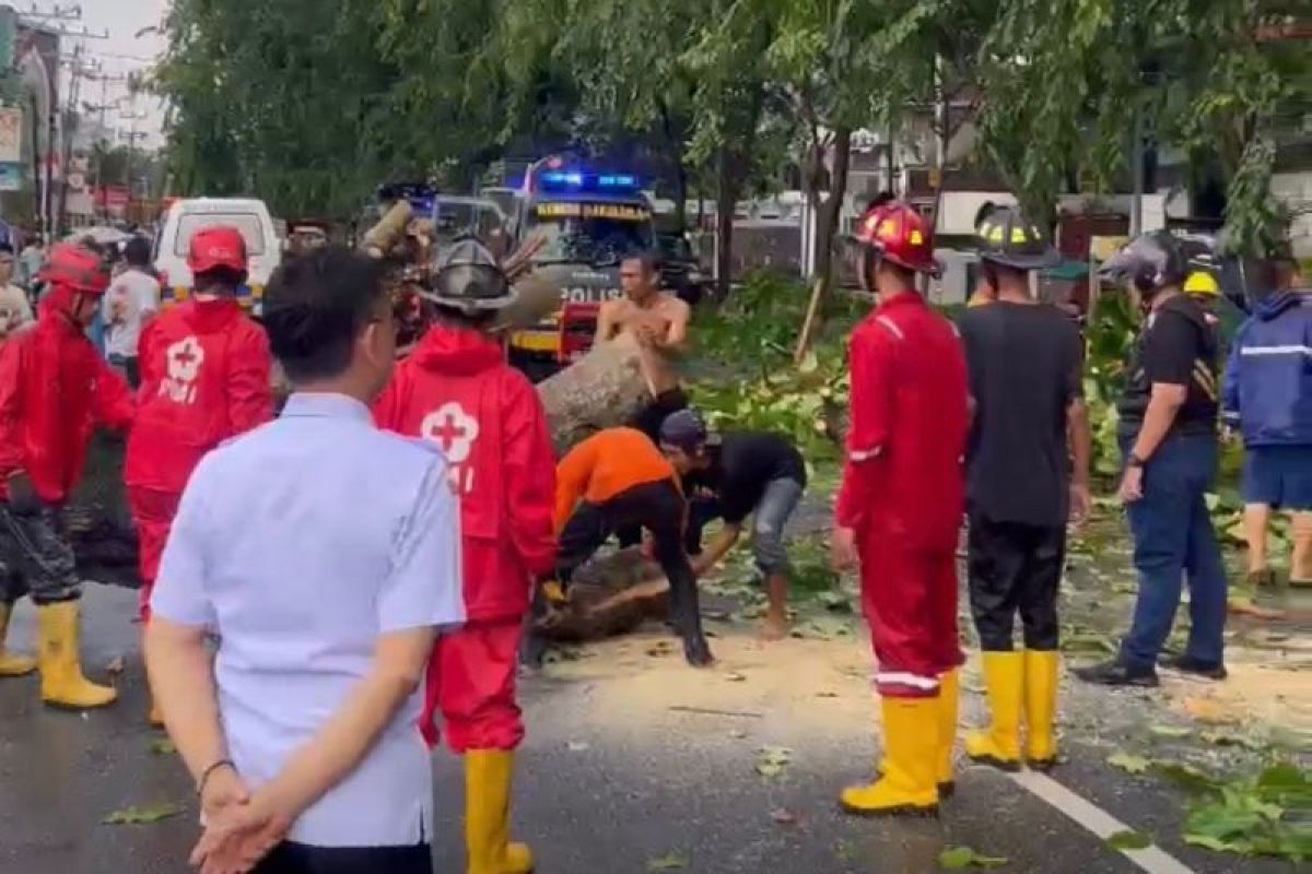 Wali Kota Pontianak imbau warga waspadai pohon rawan tumbang