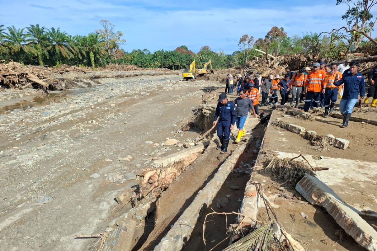 Menteri LH: Pemeriksaan awal kayu banjir bukan dari hulu Batang Toru