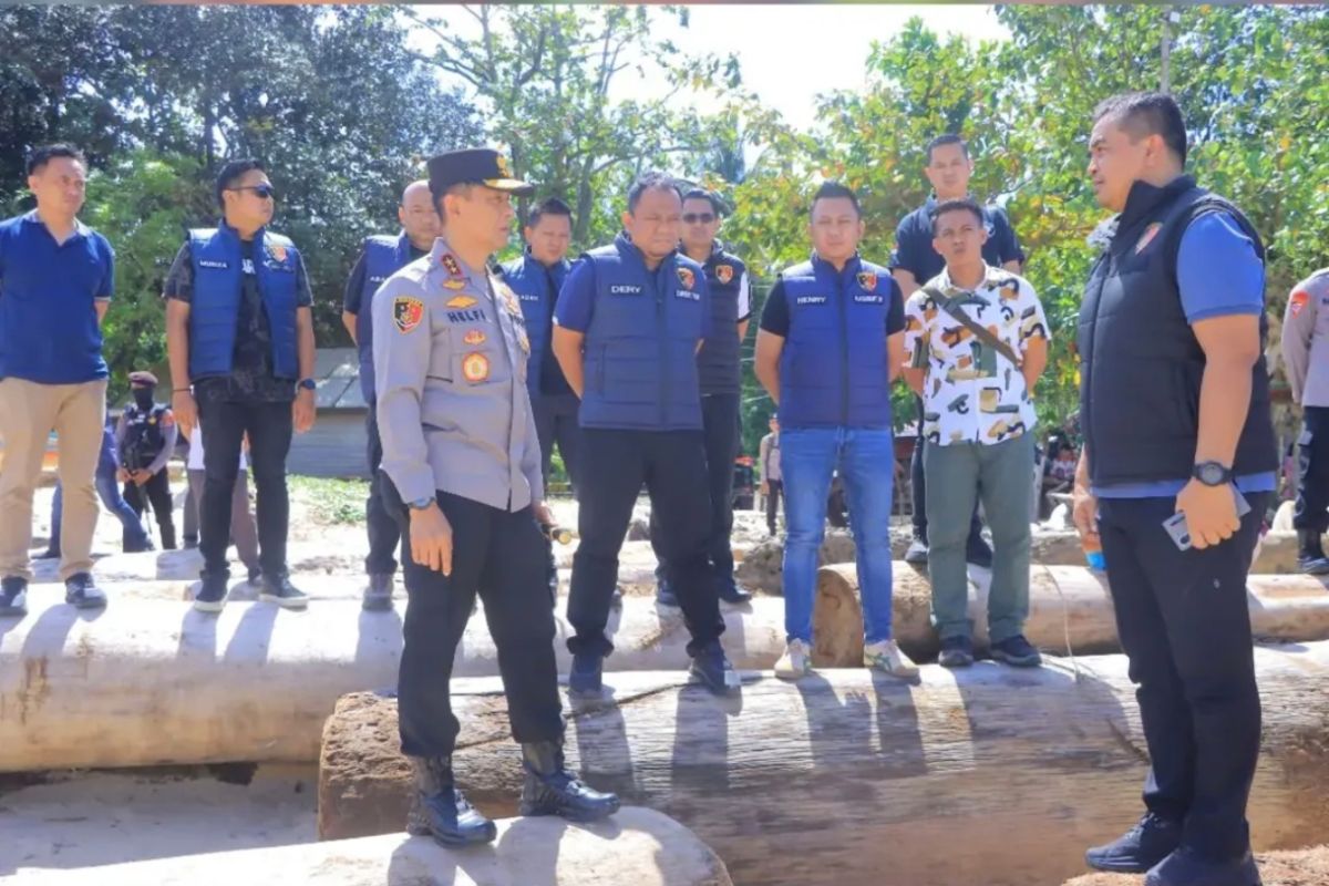 Kapolda Lampung tegaskan komitmen untuk tindak tegas pembalakan liar