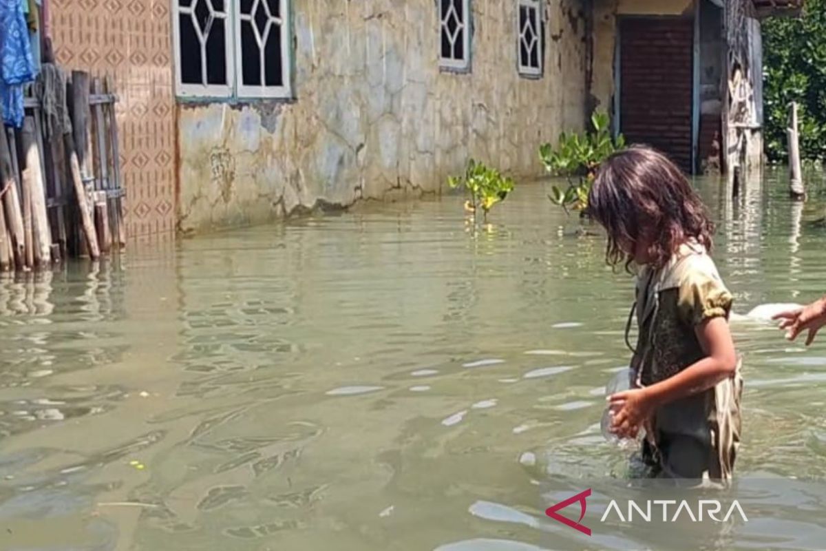 Gubernur Jabar pastikan pemda tangani banjir rob di Indramayu