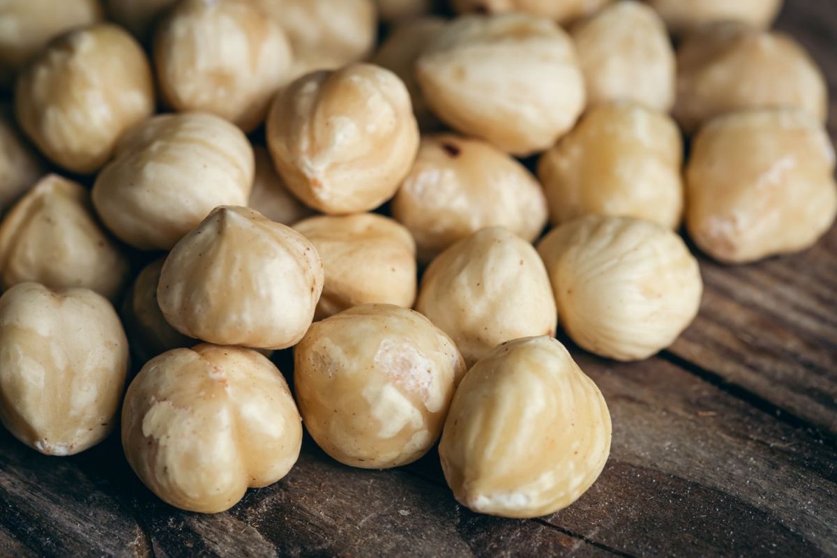 LPEI: Ekspor kemiri RI melonjak 350 persen jadi 9,58 juta dolar AS